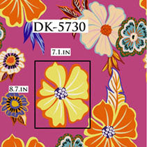 DK-5730