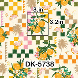 DK-5738