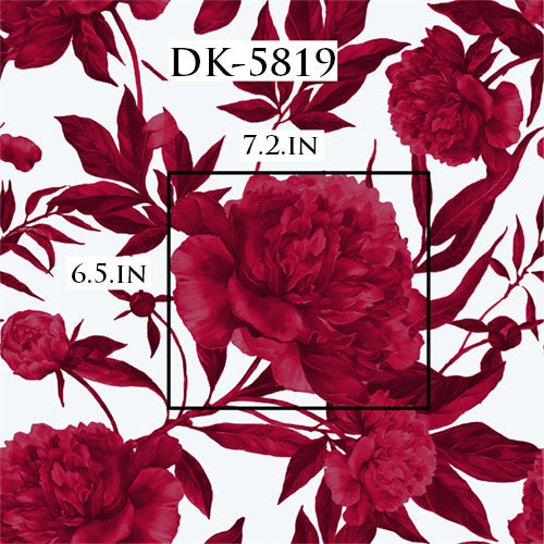 DK-5819
