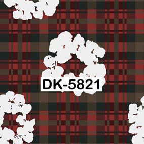 DK-5821