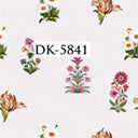 DK-5841