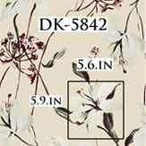 DK-5842