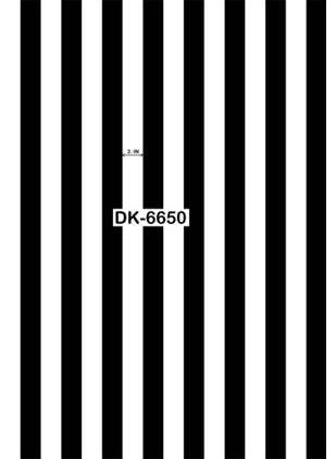 DK-6650