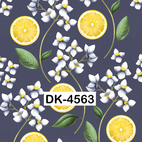 DK-4563