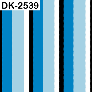 DK-2539