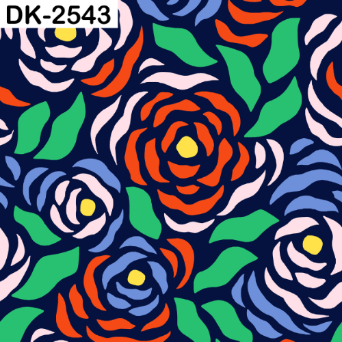 DK-2543