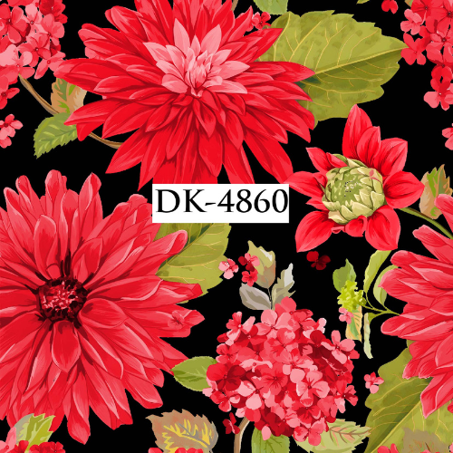 DK-4860