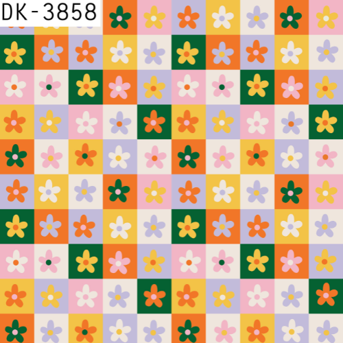 DK-3858